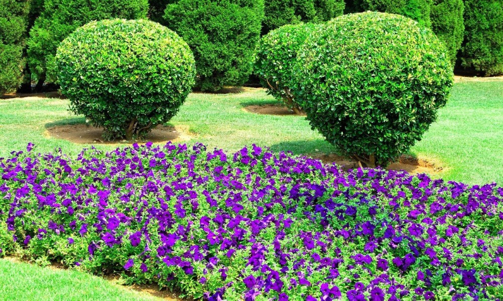 SANTON NOS JARDINS Paysagiste Saintes Img 1